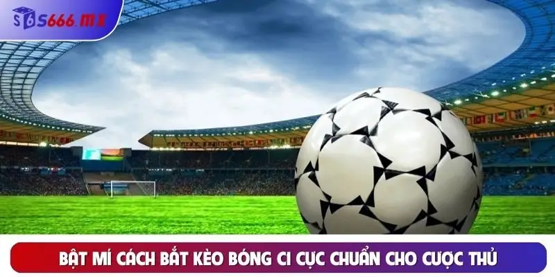 Bật mí cách bắt kèo bóng C1 cực chuẩn cho cược thủ Bật mí cách bắt kèo bóng C1 cực chuẩn cho cược thủ