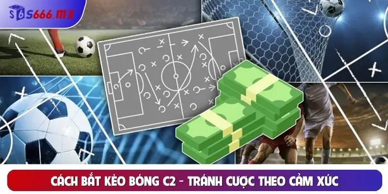 Cách bắt kèo bóng C2 - Tránh cược theo cảm xúc