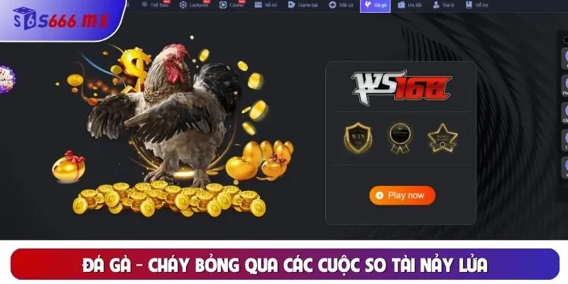 Đá gà - Cháy bỏng qua các cuộc so tài nảy lửa Đá gà - Cháy bỏng qua các cuộc so tài nảy lửa