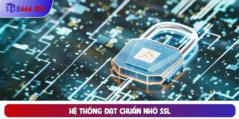 Hệ thống đạt chuẩn nhờ SSL Hệ thống đạt chuẩn nhờ SSL